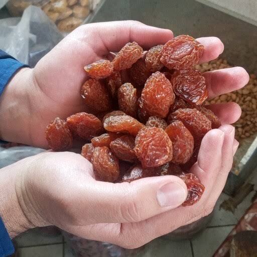 تصویر 3 از خرید آلو بخارا عمده + قیمت ویژه